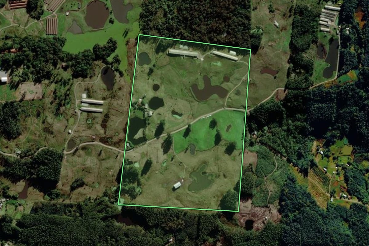 Imagem de satélite do imóvel rural em Salvador do Sul (RS), com o contorno declarado no CAR desenhado por cima.