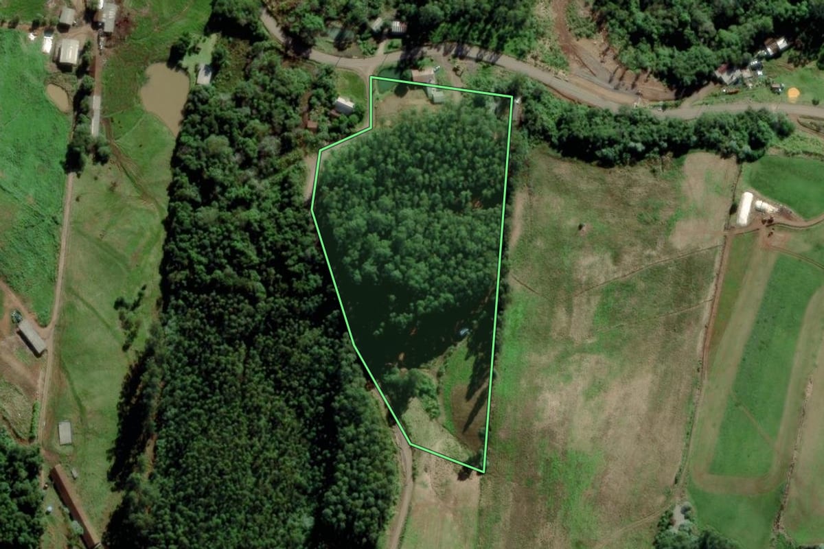 Imagem de satélite do imóvel rural em Salvador do Sul (RS), com o contorno declarado no CAR desenhado por cima.
