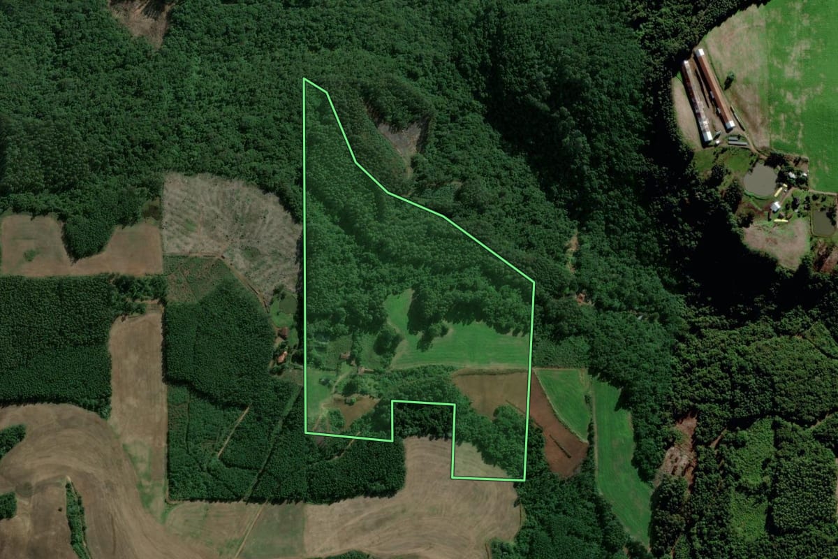 Imagem de satélite do imóvel rural em Salvador do Sul (RS), com o contorno declarado no CAR desenhado por cima.