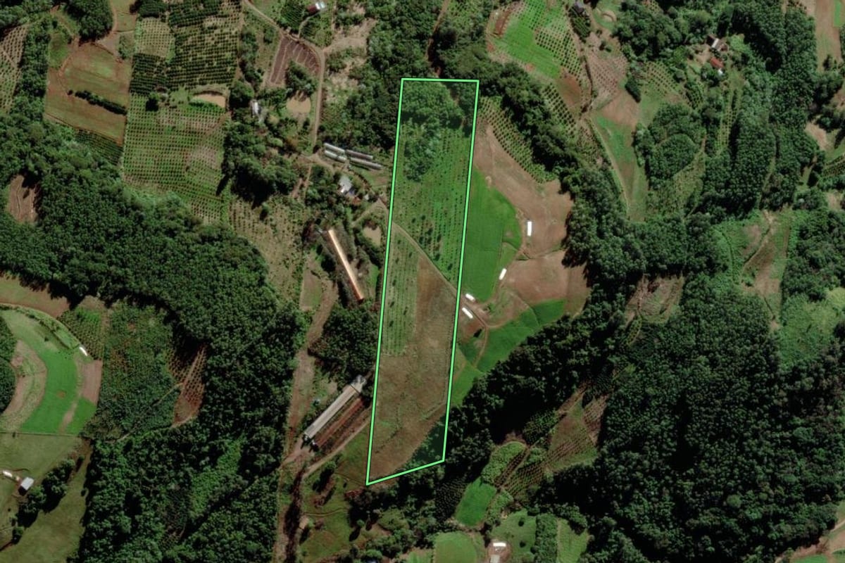 Imagem de satélite do imóvel rural em Salvador do Sul (RS), com o contorno declarado no CAR desenhado por cima.