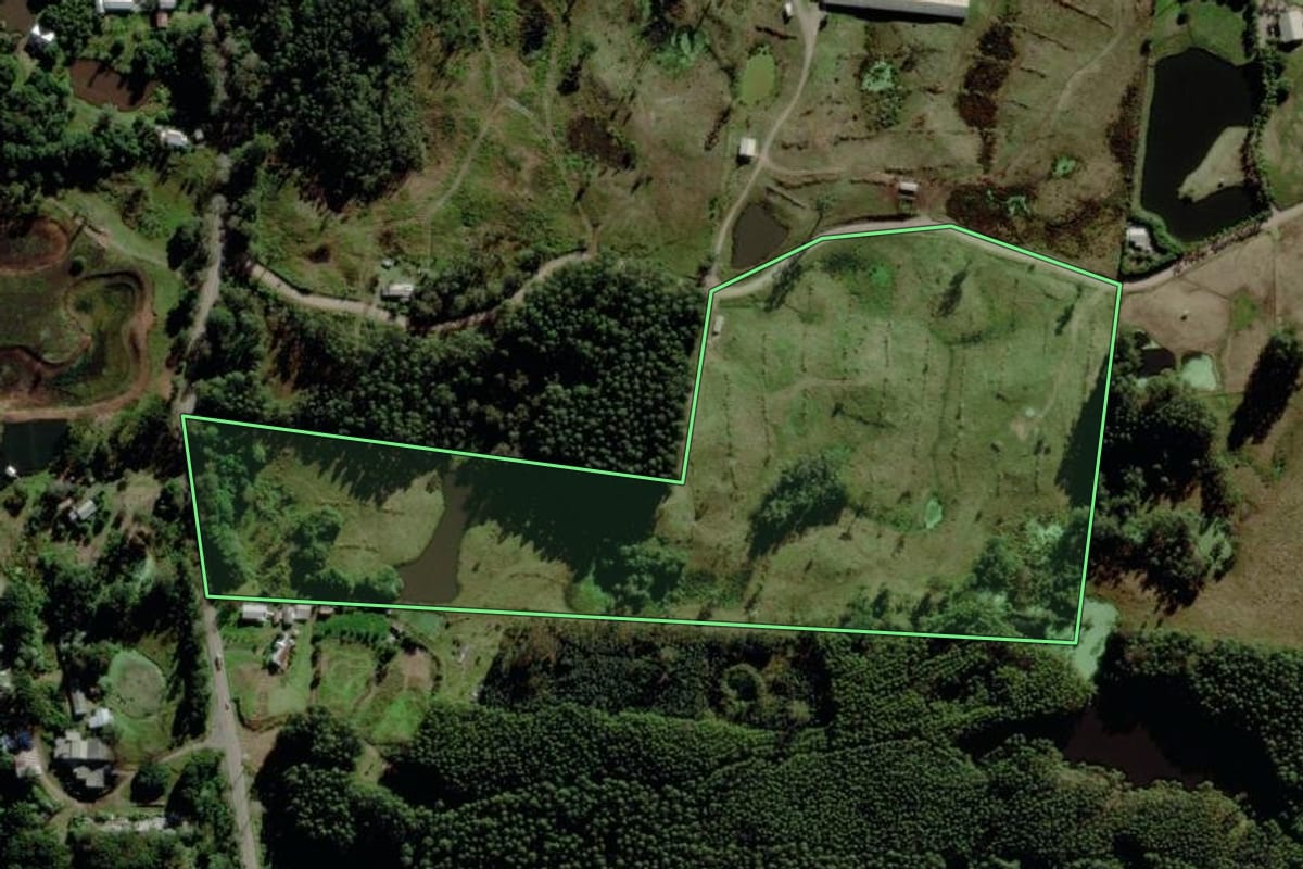 Imagem de satélite do imóvel rural em Salvador do Sul (RS), com o contorno declarado no CAR desenhado por cima.