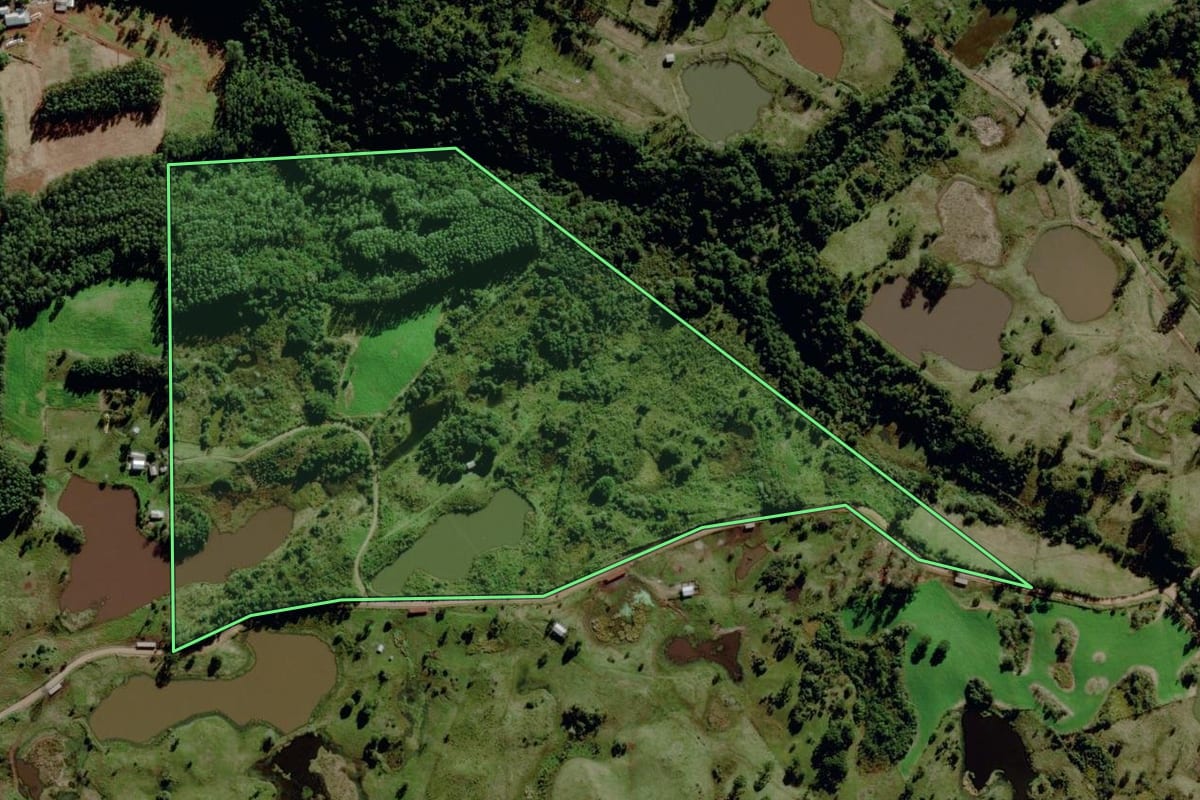 Imagem de satélite do imóvel rural em Salvador do Sul (RS), com o contorno declarado no CAR desenhado por cima.