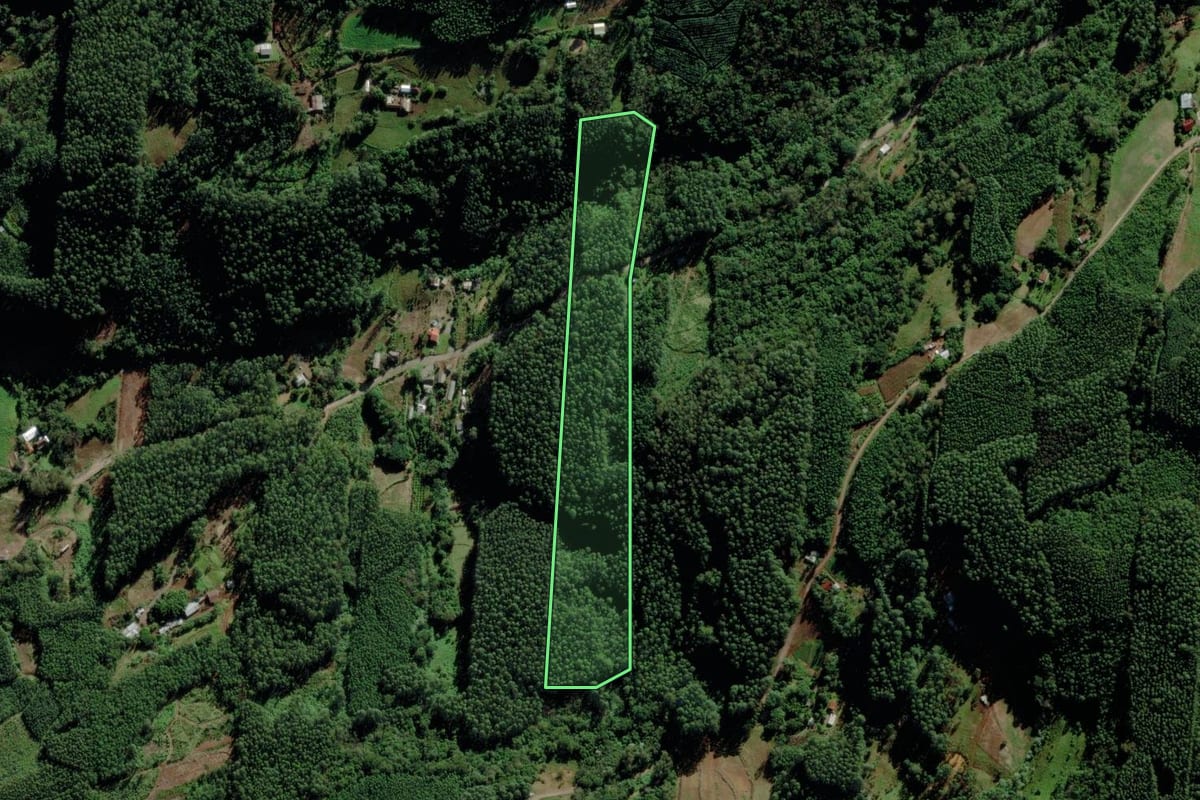 Imagem de satélite do imóvel rural em Salvador do Sul (RS), com o contorno declarado no CAR desenhado por cima.