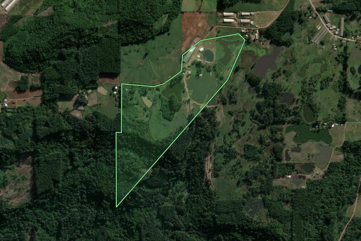 Imagem de satélite do imóvel rural em Salvador do Sul (RS), com o contorno declarado no CAR desenhado por cima.
