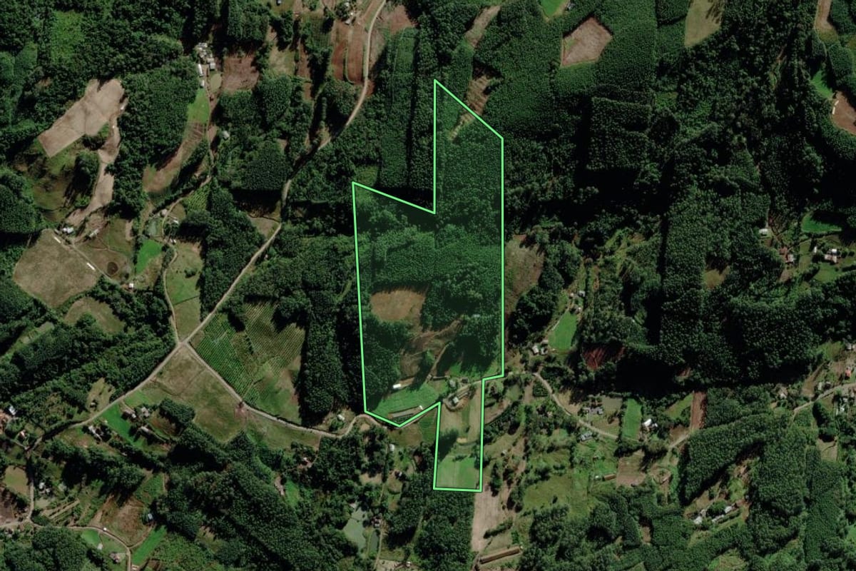 Imagem de satélite do imóvel rural em Salvador do Sul (RS), com o contorno declarado no CAR desenhado por cima.