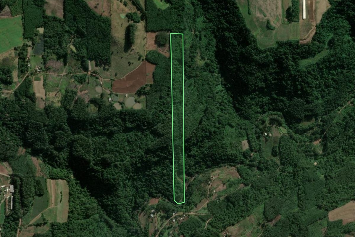 Imagem de satélite do imóvel rural em Salvador do Sul (RS), com o contorno declarado no CAR desenhado por cima.