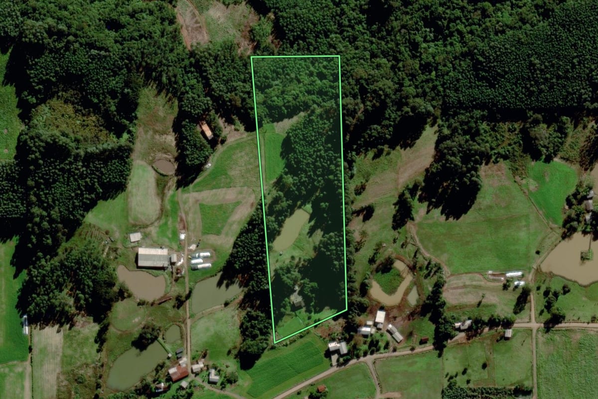 Imagem de satélite do imóvel rural em Salvador do Sul (RS), com o contorno declarado no CAR desenhado por cima.