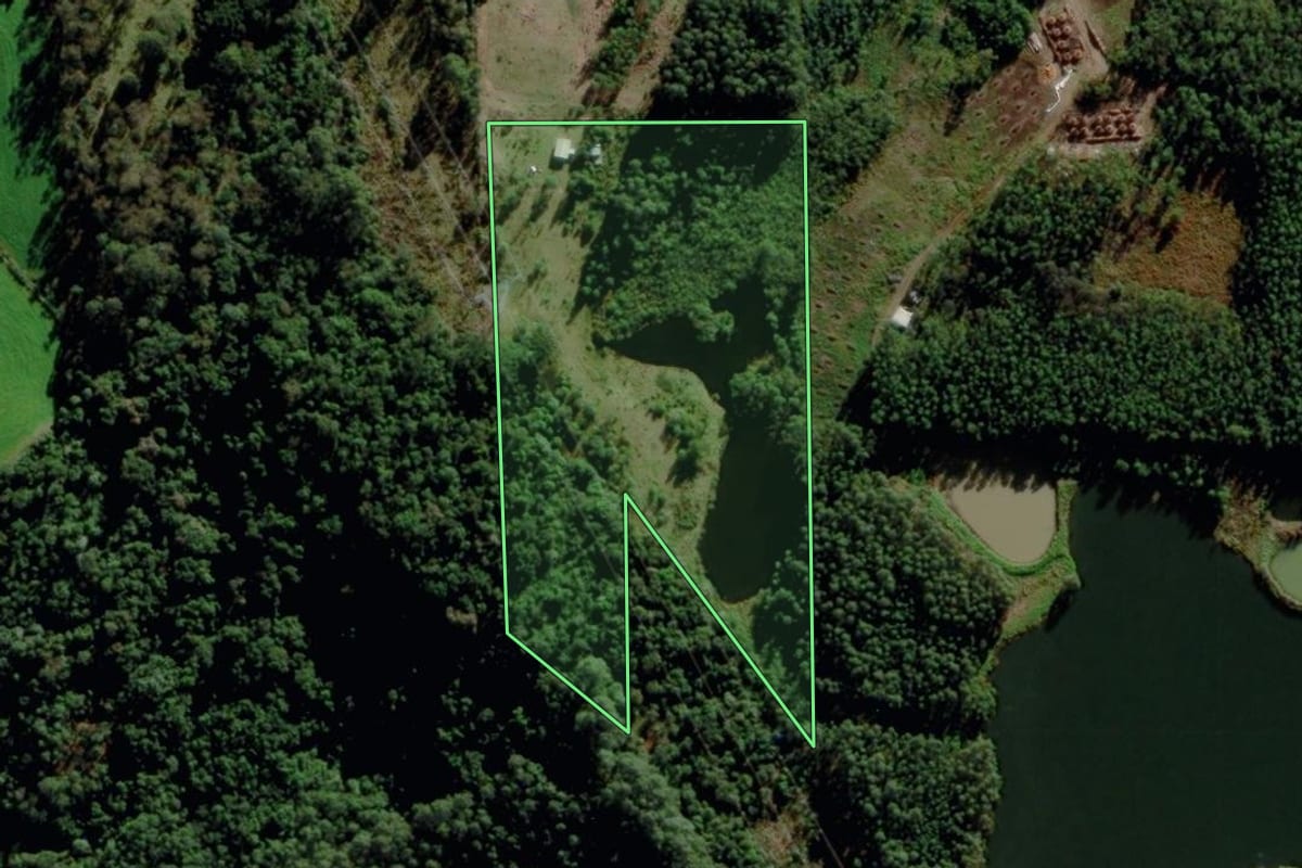 Imagem de satélite do imóvel rural em Salvador do Sul (RS), com o contorno declarado no CAR desenhado por cima.