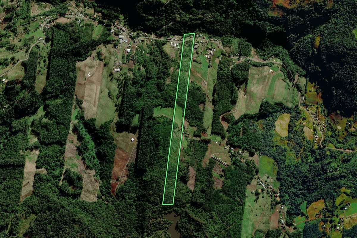 Imagem de satélite do imóvel rural em Salvador do Sul (RS), com o contorno declarado no CAR desenhado por cima.