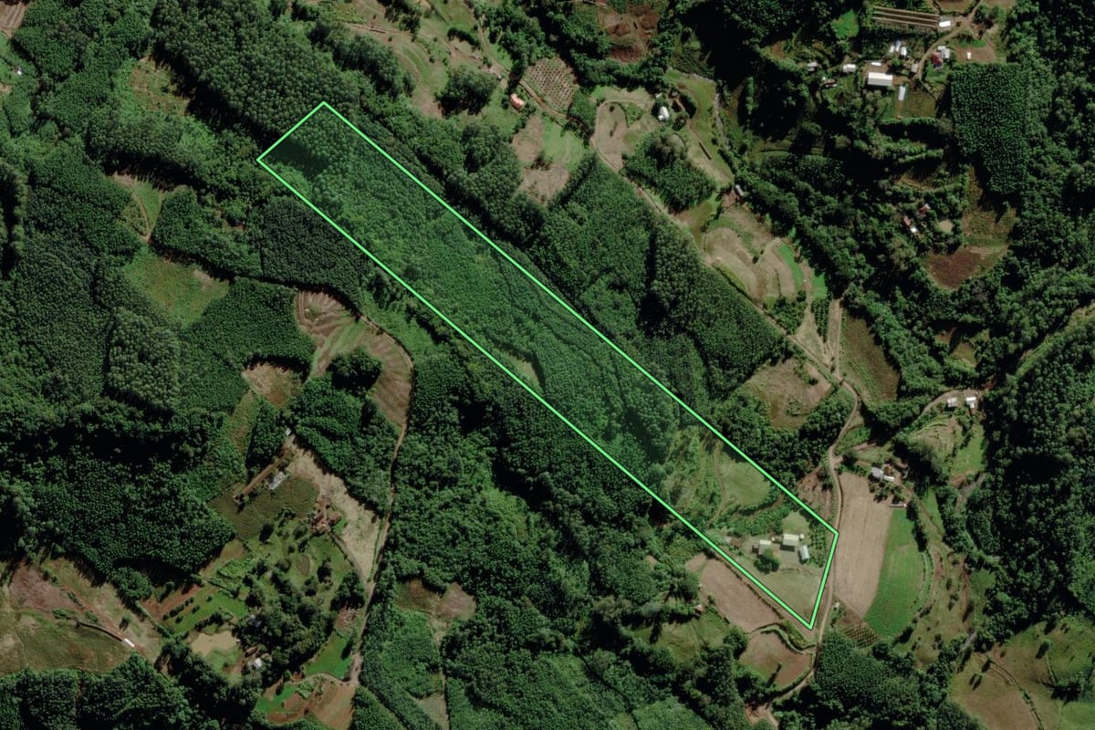 Imagem de satélite do imóvel rural em Salvador do Sul (RS), com o contorno declarado no CAR desenhado por cima.