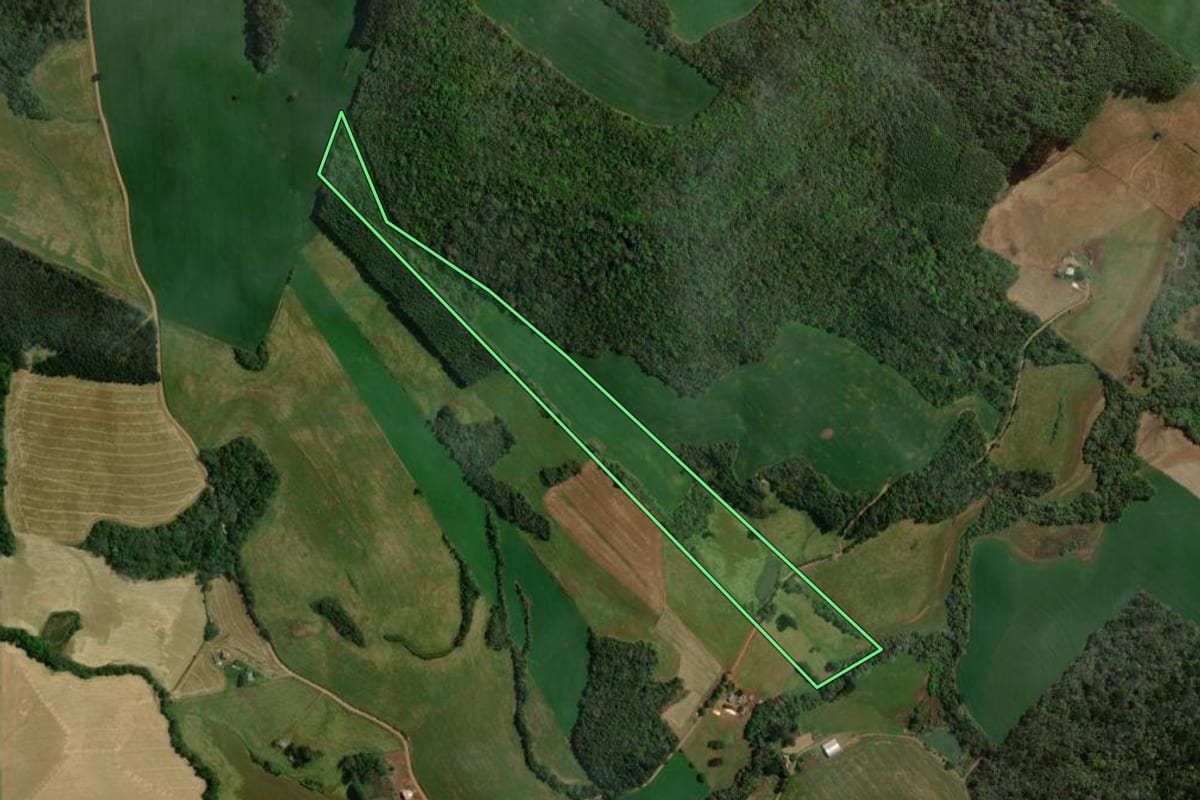 Imagem de satélite do imóvel rural em Sananduva (RS), com o contorno declarado no CAR desenhado por cima.