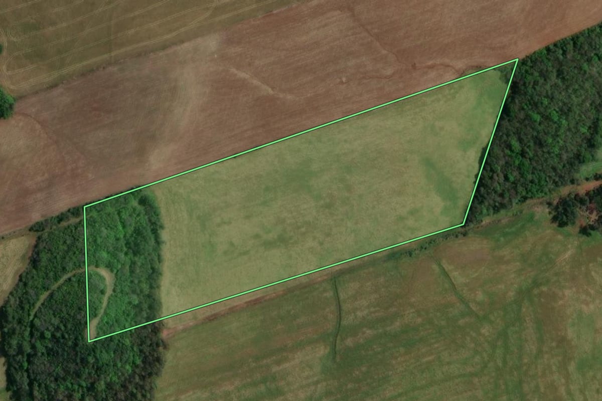 Imagem de satélite do imóvel rural em Sananduva (RS), com o contorno declarado no CAR desenhado por cima.