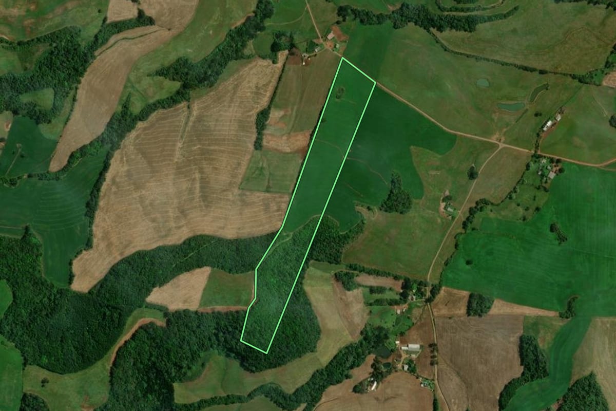Imagem de satélite do imóvel rural em Sananduva (RS), com o contorno declarado no CAR desenhado por cima.