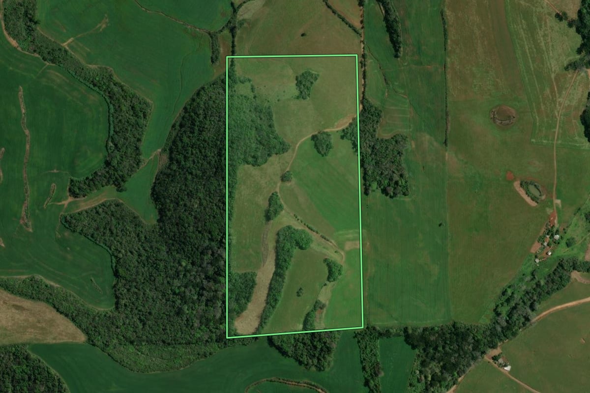 Imagem de satélite do imóvel rural em Sananduva (RS), com o contorno declarado no CAR desenhado por cima.
