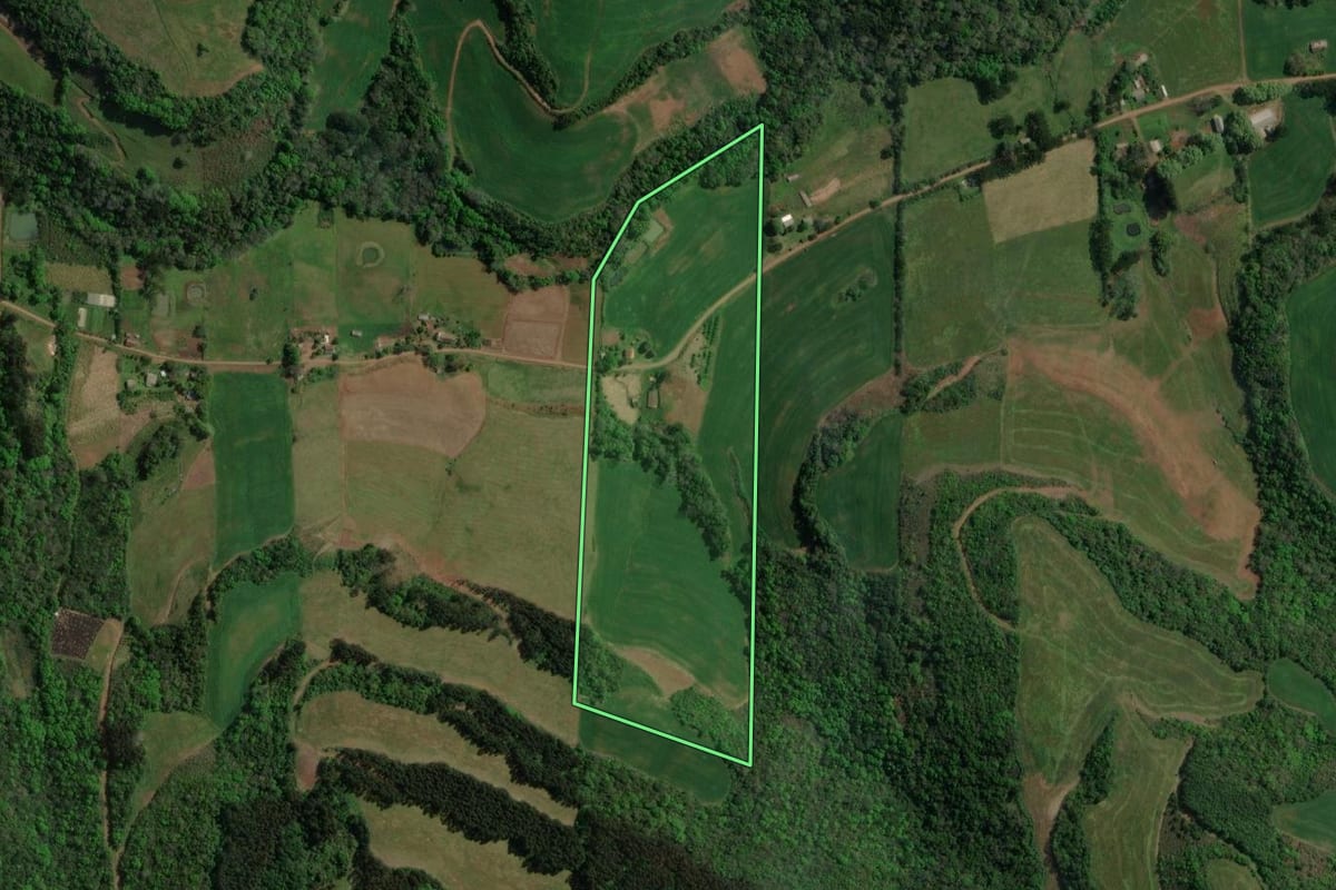 Imagem de satélite do imóvel rural em Sananduva (RS), com o contorno declarado no CAR desenhado por cima.