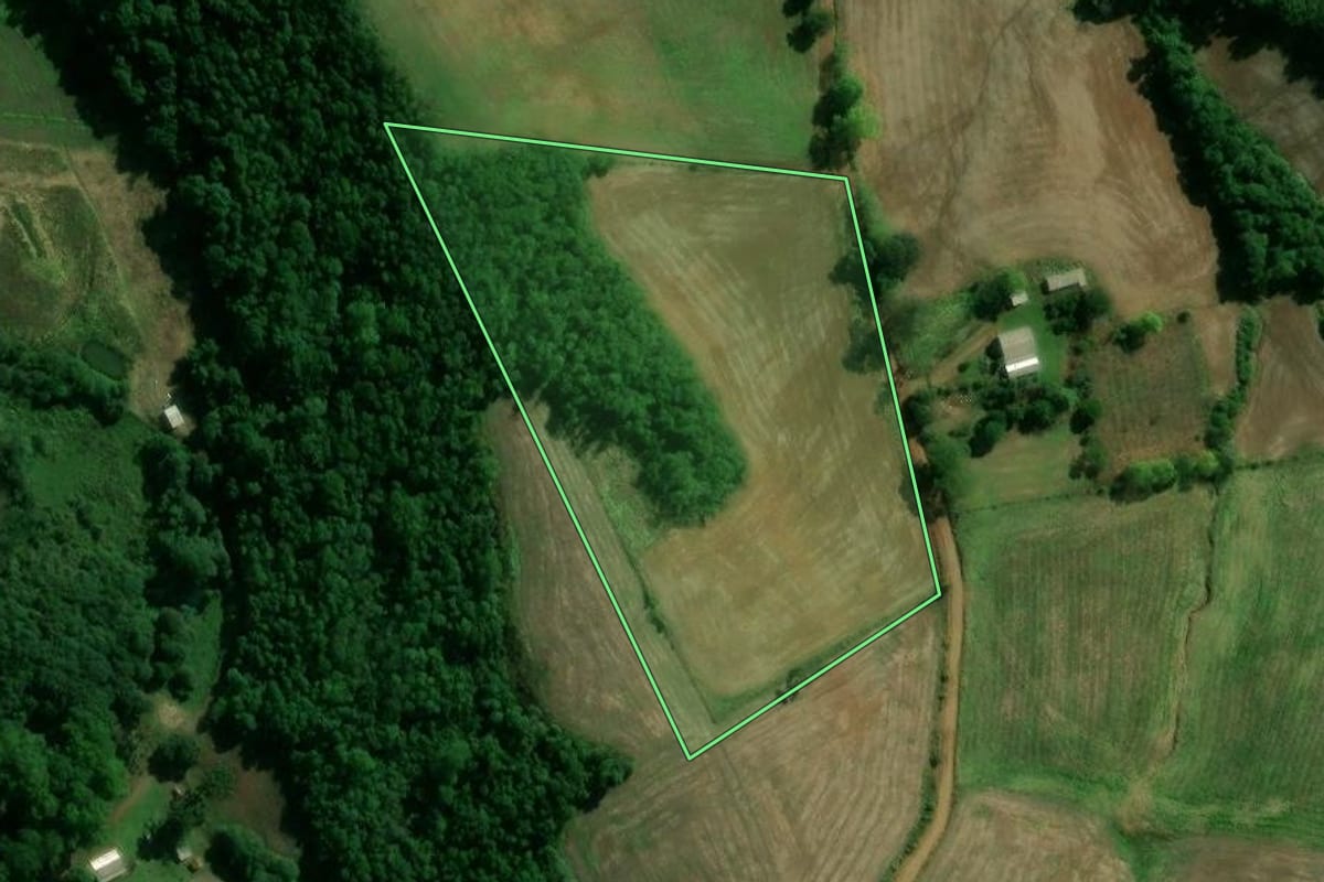 Imagem de satélite do imóvel rural em Sananduva (RS), com o contorno declarado no CAR desenhado por cima.