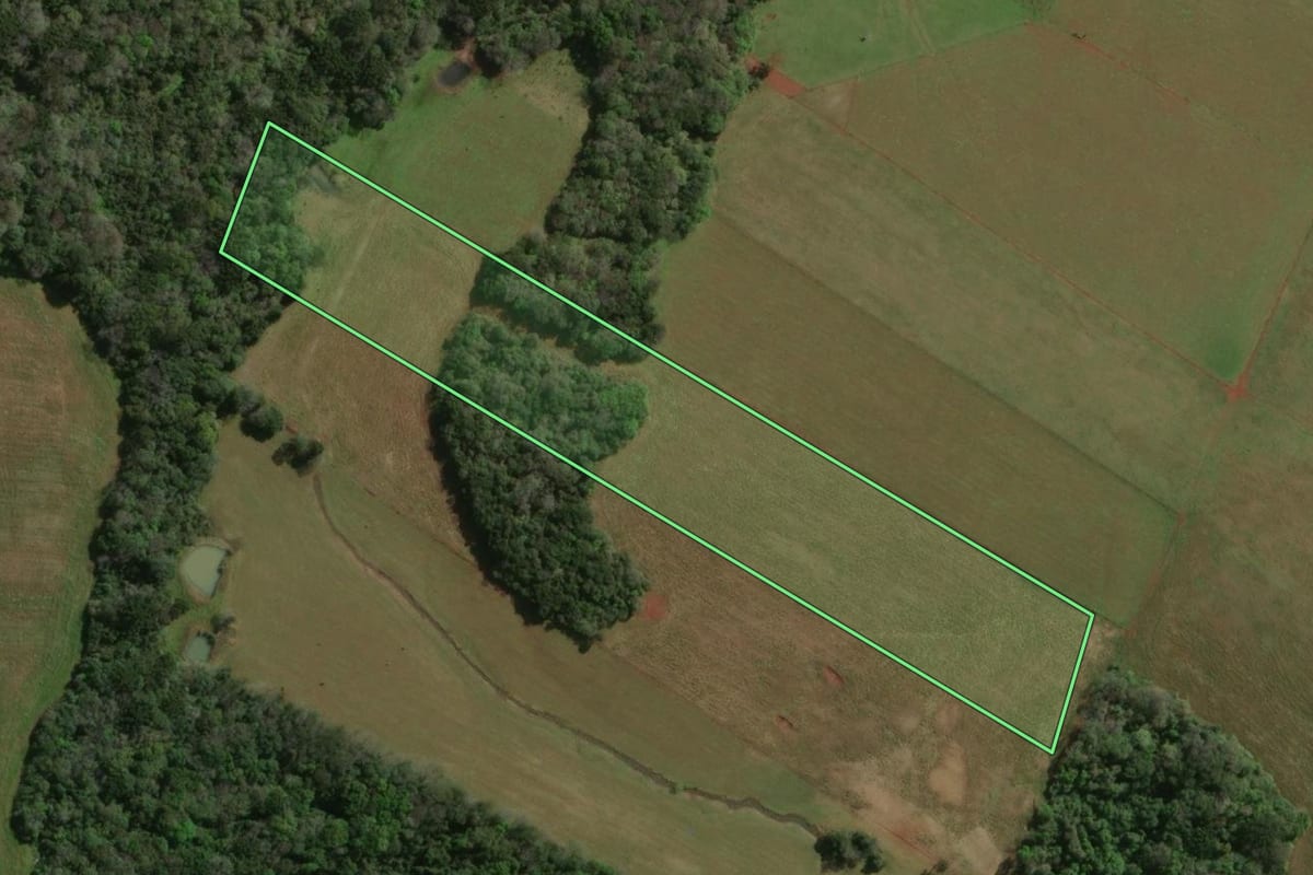 Imagem de satélite do imóvel rural em Sananduva (RS), com o contorno declarado no CAR desenhado por cima.