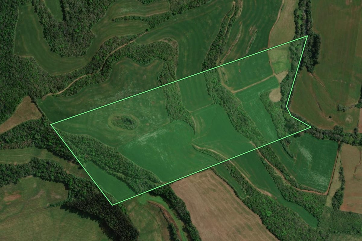Imagem de satélite do imóvel rural em Sananduva (RS), com o contorno declarado no CAR desenhado por cima.