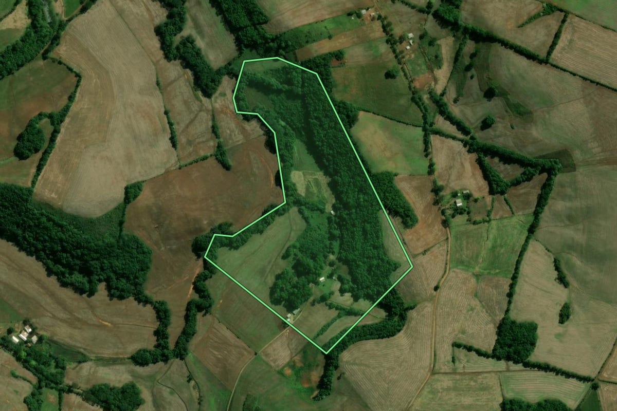 Imagem de satélite do imóvel rural em Sananduva (RS), com o contorno declarado no CAR desenhado por cima.