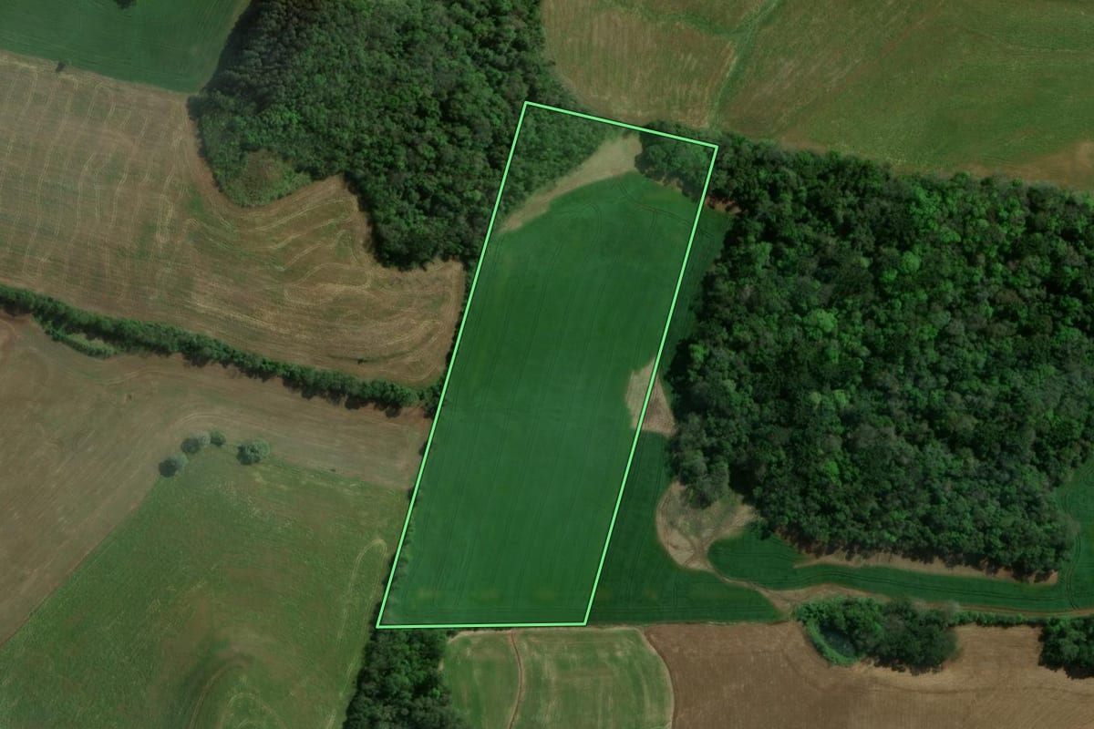 Imagem de satélite do imóvel rural em Sananduva (RS), com o contorno declarado no CAR desenhado por cima.
