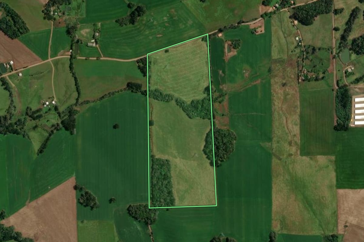 Imagem de satélite do imóvel rural em Sananduva (RS), com o contorno declarado no CAR desenhado por cima.