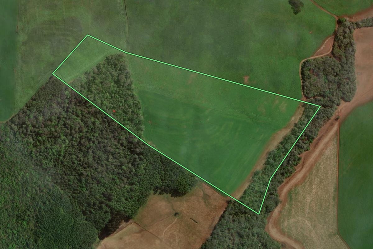 Imagem de satélite do imóvel rural em Sananduva (RS), com o contorno declarado no CAR desenhado por cima.