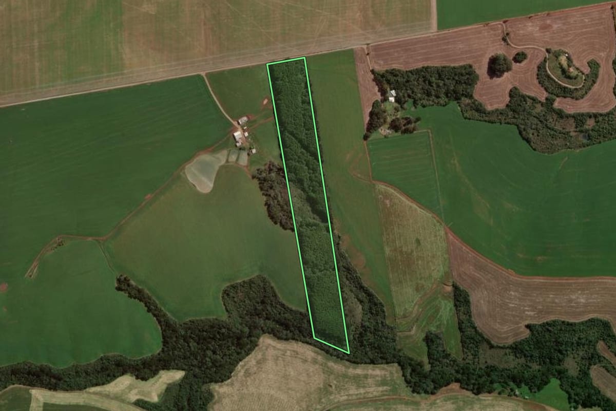 Imagem de satélite do imóvel rural em Sananduva (RS), com o contorno declarado no CAR desenhado por cima.