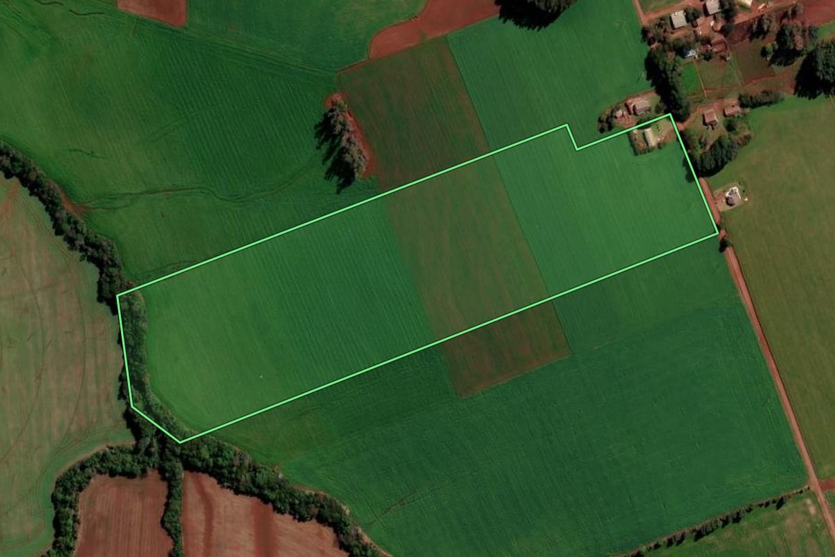 Imagem de satélite do imóvel rural em Santa Bárbara do Sul (RS), com o contorno declarado no CAR desenhado por cima.