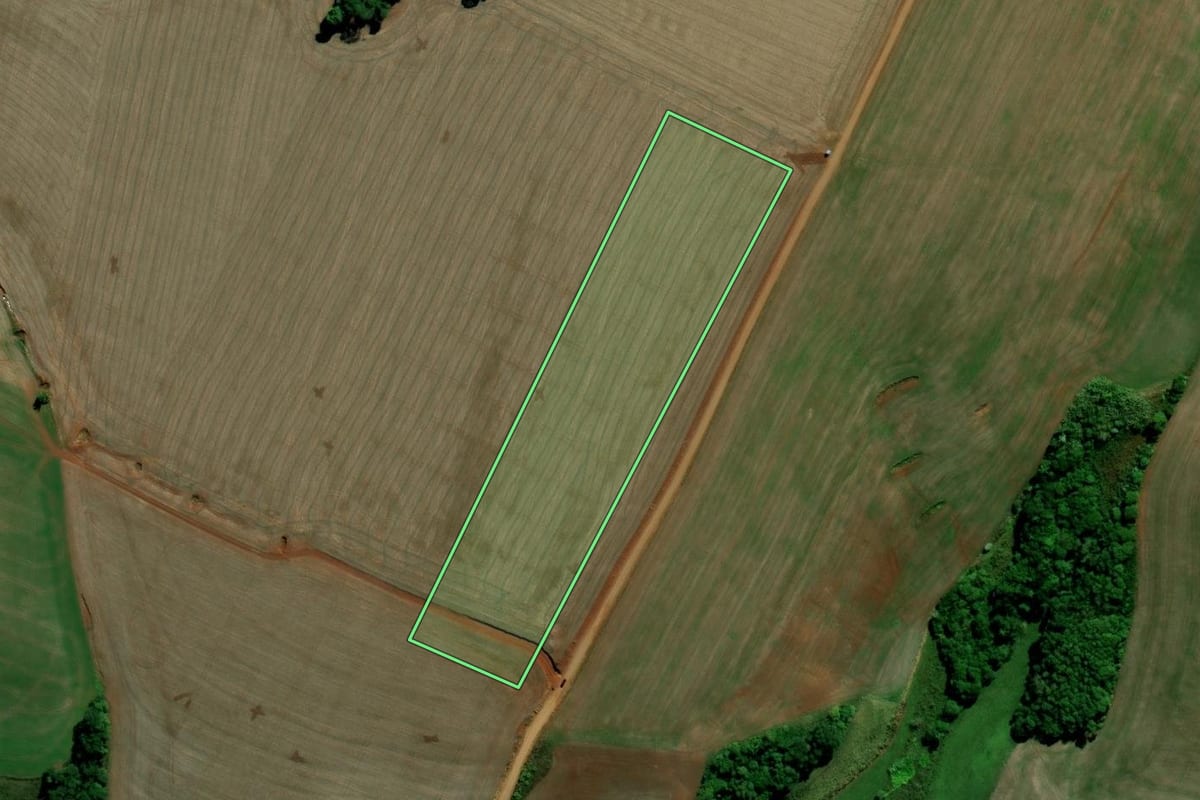 Imagem de satélite do imóvel rural em Santa Bárbara do Sul (RS), com o contorno declarado no CAR desenhado por cima.