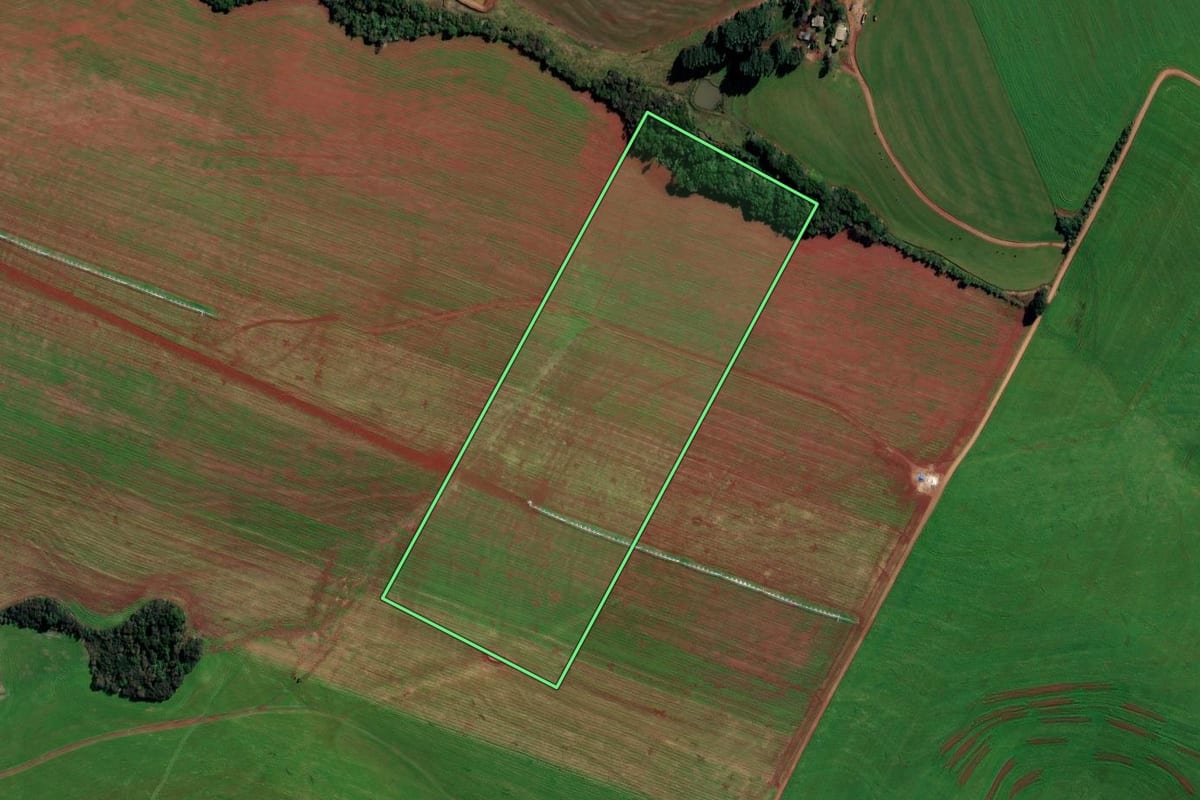 Imagem de satélite do imóvel rural em Santa Bárbara do Sul (RS), com o contorno declarado no CAR desenhado por cima.