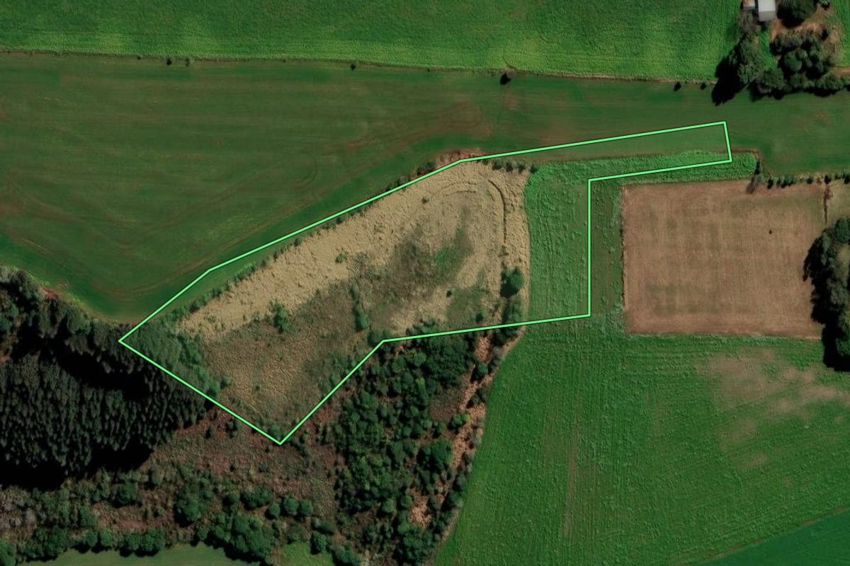 Imagem de satélite do imóvel rural em Santa Bárbara do Sul (RS), com o contorno declarado no CAR desenhado por cima.