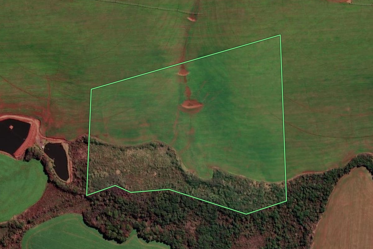 Imagem de satélite do imóvel rural em Santa Bárbara do Sul (RS), com o contorno declarado no CAR desenhado por cima.