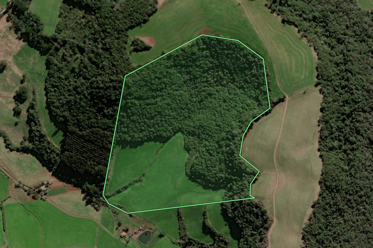 Imagem de satélite do imóvel rural em Santa Cecília do Sul (RS), com o contorno declarado no CAR desenhado por cima.