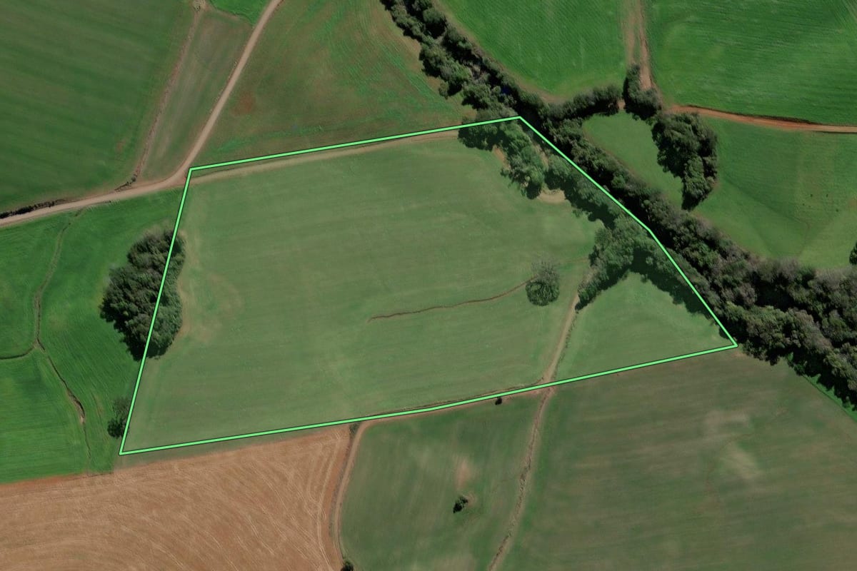 Imagem de satélite do imóvel rural em Santa Cecília do Sul (RS), com o contorno declarado no CAR desenhado por cima.