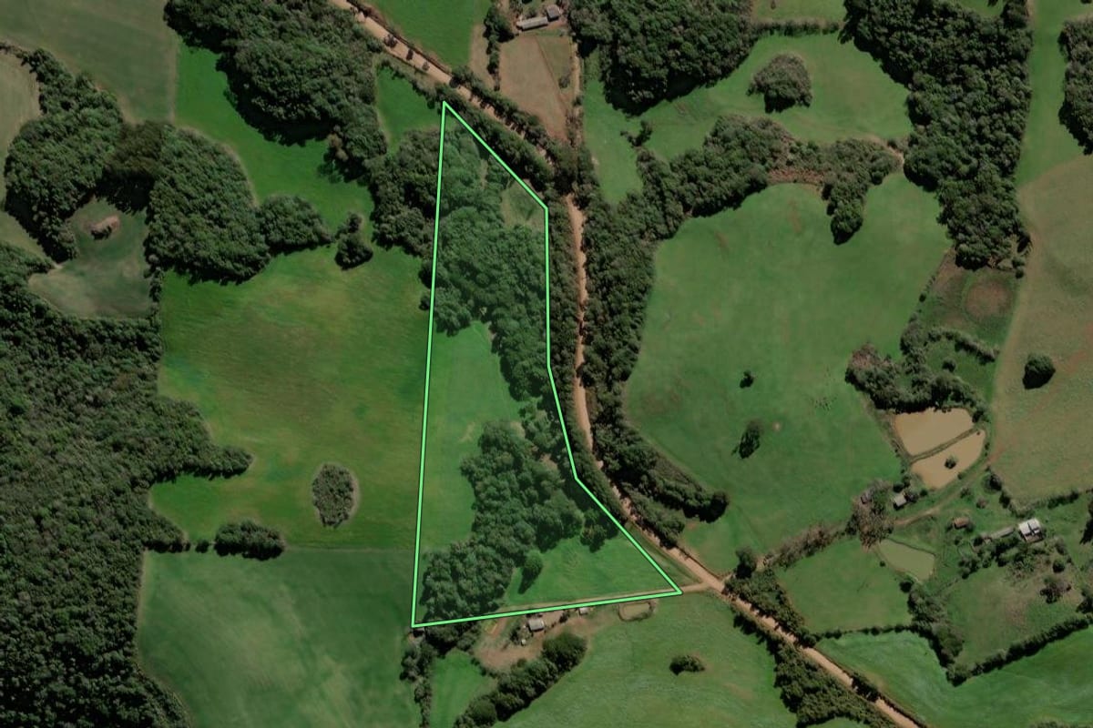 Imagem de satélite do imóvel rural em Santa Cecília do Sul (RS), com o contorno declarado no CAR desenhado por cima.