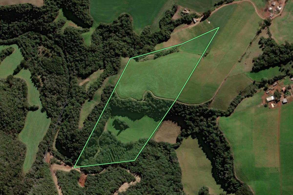 Imagem de satélite do imóvel rural em Santa Cecília do Sul (RS), com o contorno declarado no CAR desenhado por cima.