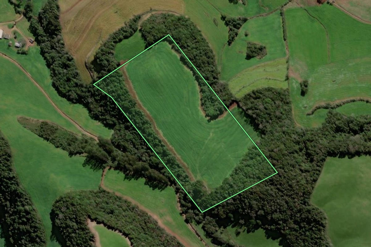 Imagem de satélite do imóvel rural em Santa Cecília do Sul (RS), com o contorno declarado no CAR desenhado por cima.