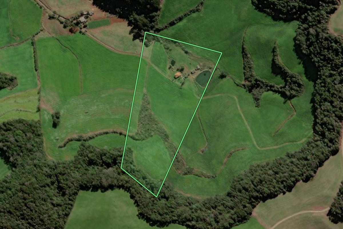 Imagem de satélite do imóvel rural em Santa Cecília do Sul (RS), com o contorno declarado no CAR desenhado por cima.