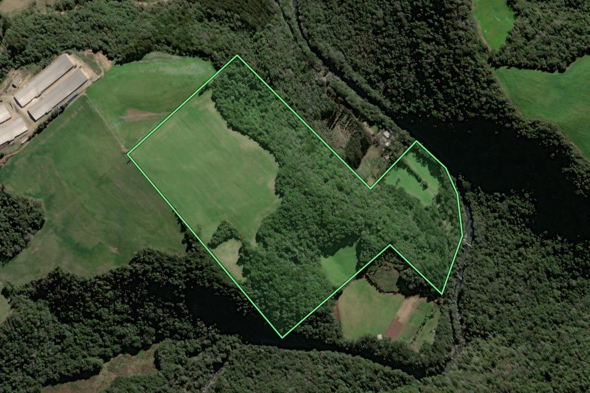 Imagem de satélite do imóvel rural em Santa Cecília do Sul (RS), com o contorno declarado no CAR desenhado por cima.