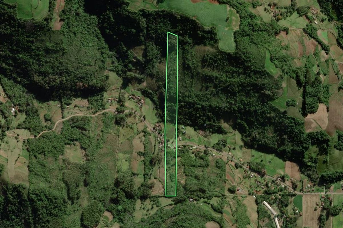 Imagem de satélite do imóvel rural em Santa Clara do Sul (RS), com o contorno declarado no CAR desenhado por cima.