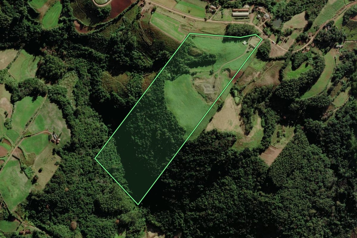 Imagem de satélite do imóvel rural em Santa Clara do Sul (RS), com o contorno declarado no CAR desenhado por cima.
