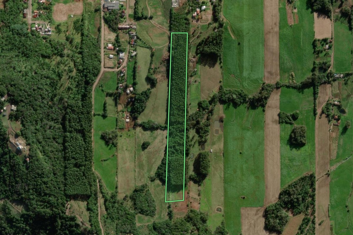 Imagem de satélite do imóvel rural em Santa Clara do Sul (RS), com o contorno declarado no CAR desenhado por cima.