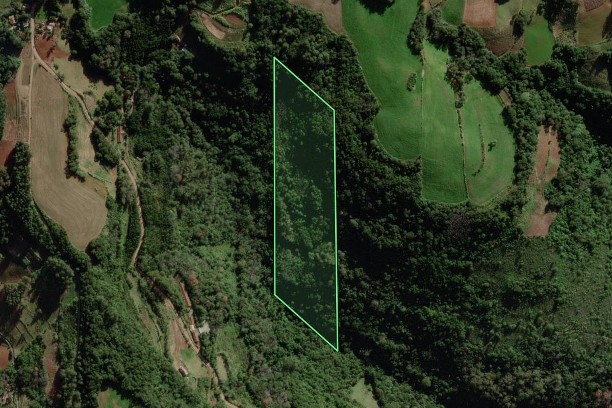 Imagem de satélite do imóvel rural em Santa Clara do Sul (RS), com o contorno declarado no CAR desenhado por cima.