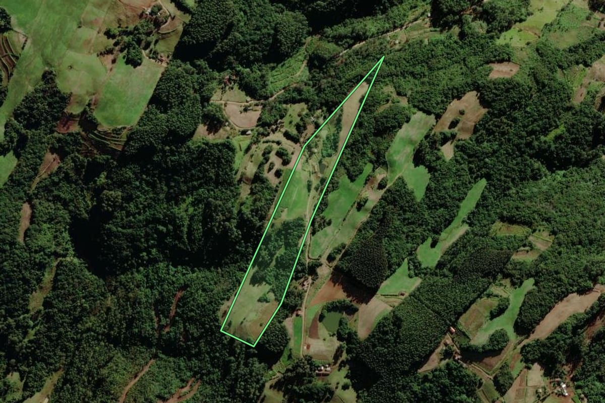 Imagem de satélite do imóvel rural em Santa Clara do Sul (RS), com o contorno declarado no CAR desenhado por cima.