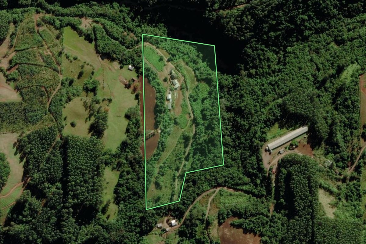 Imagem de satélite do imóvel rural em Santa Clara do Sul (RS), com o contorno declarado no CAR desenhado por cima.