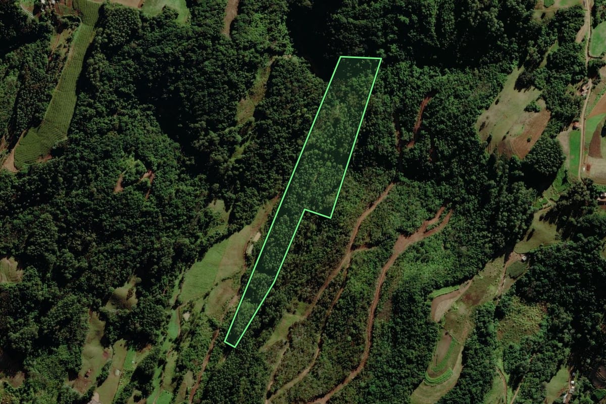 Imagem de satélite do imóvel rural em Santa Clara do Sul (RS), com o contorno declarado no CAR desenhado por cima.