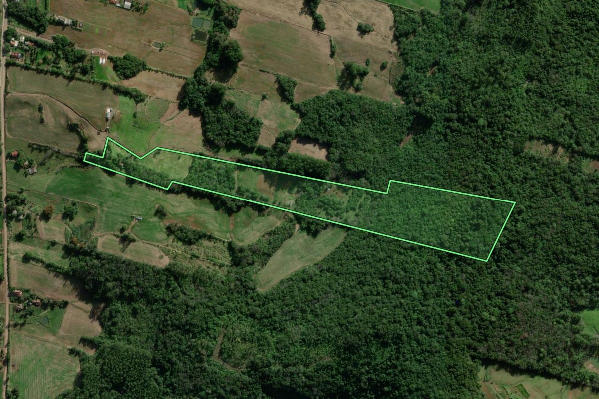 Imagem de satélite do imóvel rural em Santa Clara do Sul (RS), com o contorno declarado no CAR desenhado por cima.