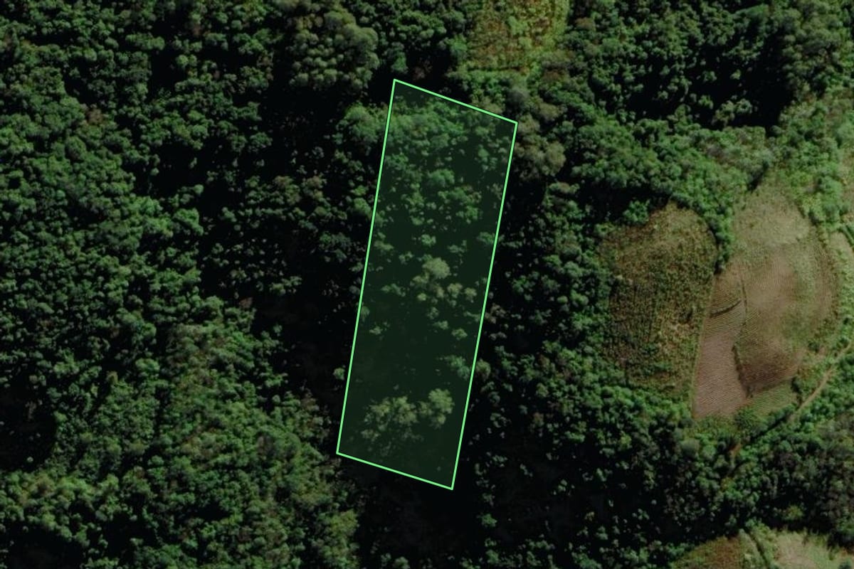 Imagem de satélite do imóvel rural em Santa Clara do Sul (RS), com o contorno declarado no CAR desenhado por cima.
