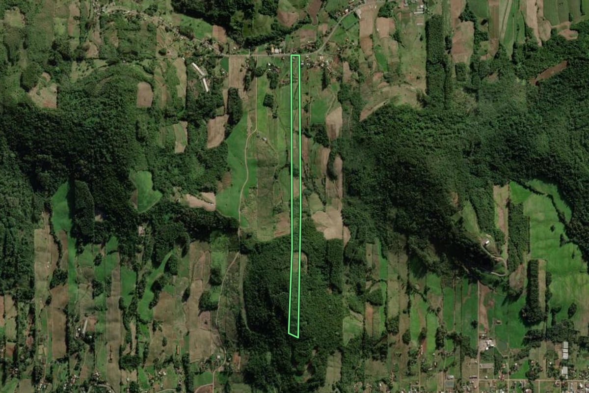 Imagem de satélite do imóvel rural em Santa Clara do Sul (RS), com o contorno declarado no CAR desenhado por cima.