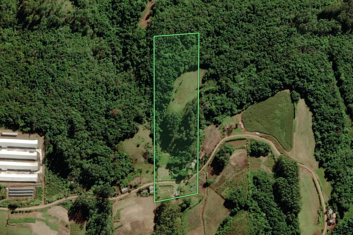 Imagem de satélite do imóvel rural em Santa Clara do Sul (RS), com o contorno declarado no CAR desenhado por cima.
